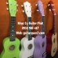 dan-ukulele-mau-gia-re-cho-nguoi-moi-tap-choi-tai-quan7-nha-be-tphcm-3