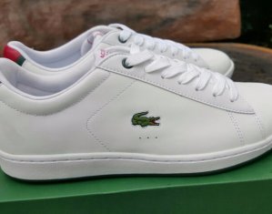 giầy lacoste